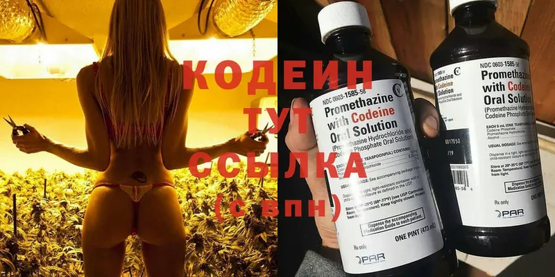 Кодеиновый сироп Lean Purple Drank  где купить наркотик  OMG tor  Агрыз 